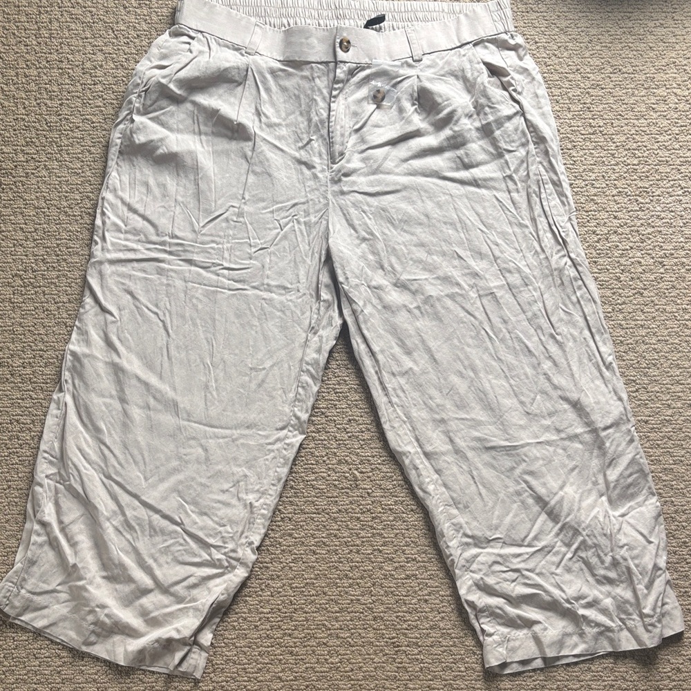 Torrid Beige pants